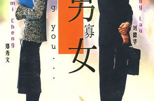 孤男寡女电视剧概述与基本信息