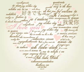 法政先锋2粤语版的语言特色与文化内涵