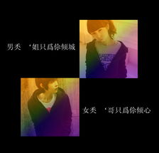 最美情侣视频的分类与选择技巧