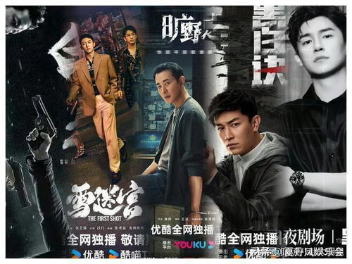 优酷电视剧热门题材与代表作品