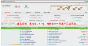 正版下载平台与会员服务解析