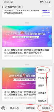 官方正版平台与免费观看权益