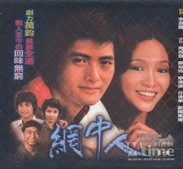 网中人电视剧概述与粤语魅力