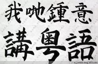 网中人粤语版特色与文化价值