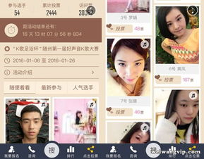 主流最新电视剧在线观看平台对比