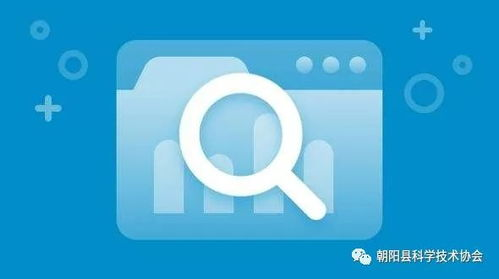 百度搜索引擎中的野花韩国高清资源获取方法