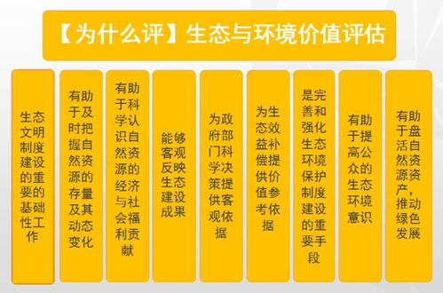 制作挑战与艺术价值评估