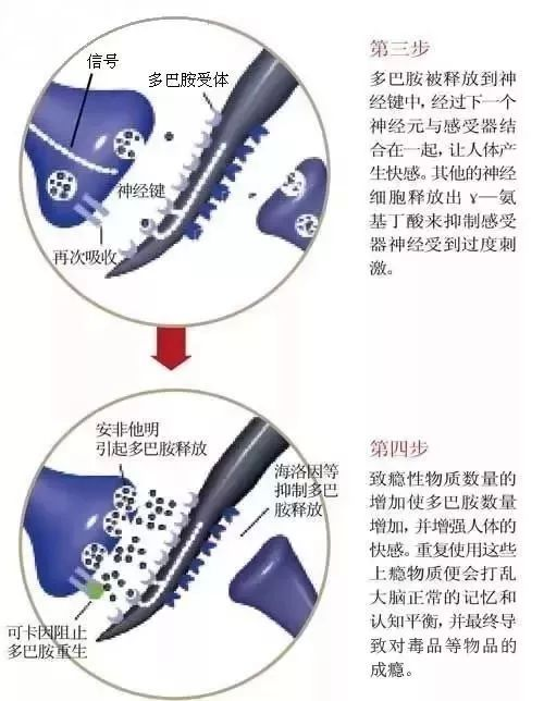 宠上瘾的心理根源分析