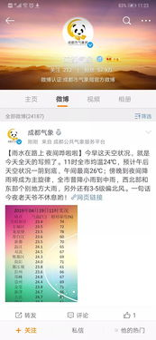 如何识别宠上瘾的预警信号