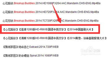 torrentkitty官网的使用技巧