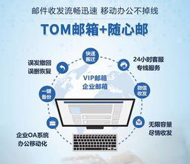 核心职业选择与特色