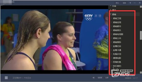 观看中央5+直播的多种方式