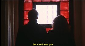 爱情短片的类型与特点解析