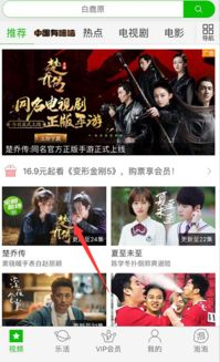 爱奇艺电视剧平台概述