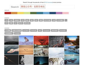 如何识别优质免费高清网站