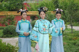 宫锁珠帘的社会影响与观众反响