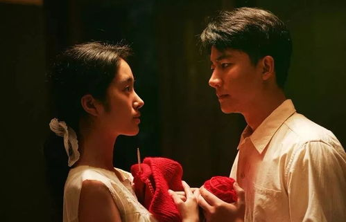 《偷偷藏不住》剧集概述与观看价值