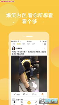 暖暖免费视频在线观看的技术要求与设备选择