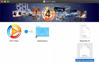 一个人的免费HD完整版国语：高清观影体验的优化技巧