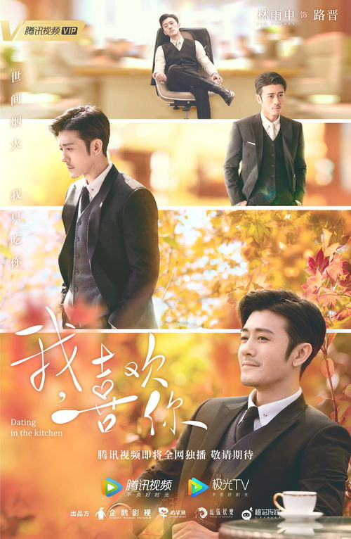 电视剧全集免费完整版观看的合法性考量