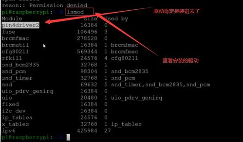 中文字幕码的起源与演变