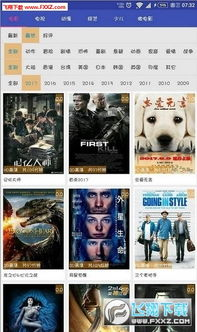 天堂电影网概述与平台特点