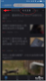 东方卫视直播的观看方式