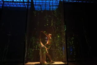 花芯无删减视觉艺术的突破与创新