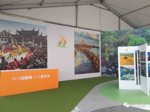 观赛指南与互动体验