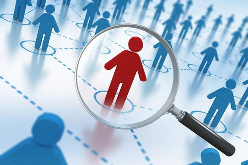 合法免费观看平台与活动