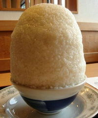 半熟米饭1984的游戏起源与历史背景