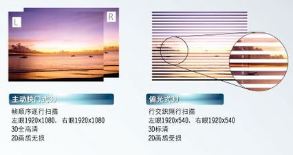 樱桃视频平台概述与特点