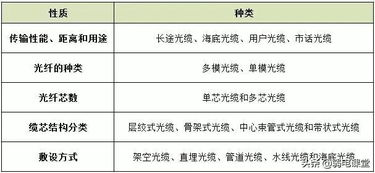 八戒看网站概述与特点