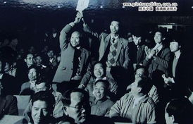 改革开放初期的农村电视剧代表作