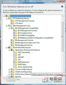 日本Windows Server的语言支持与本地化特性