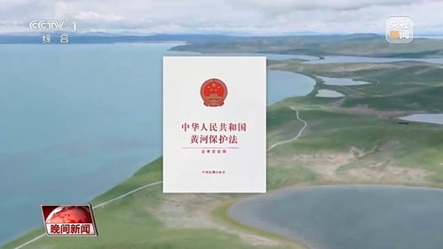 大河之水剧情概览与价值