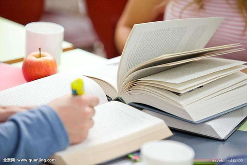 教具选择与教学效果的关系