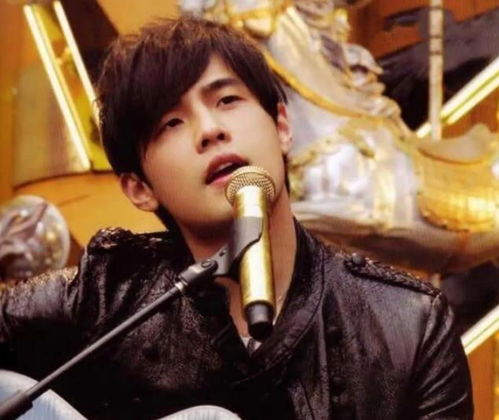 《花心》在华语乐坛的影响力