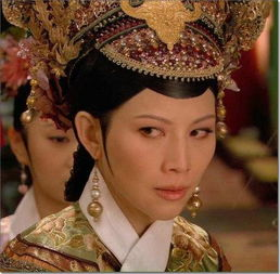 甄嬛传可投屏版本概述