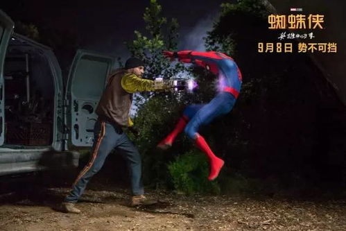 蜘蛛侠英雄归来在线观看的合法性与版权保护