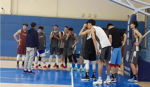 两队近期表现与战术分析