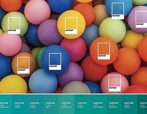 画质表现与音效体验分析