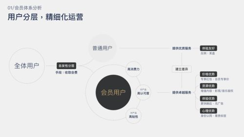 无限影院官网会员服务体系详解
