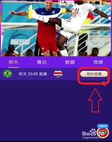 官方世界杯直播视频在线直播渠道解析