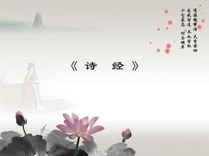 创作背景与社会意义