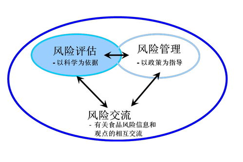 免费资源的安全风险评估