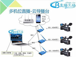 高清播放设备与网络要求