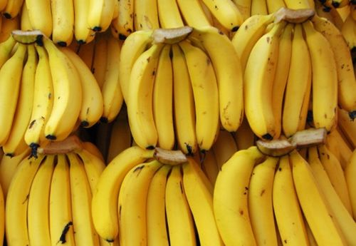 提升香蕉鱼动漫网观看体验的实用技巧