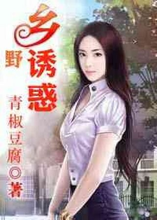 乡野俏媳妇小说的主题与内容解析