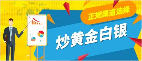 正规免费观看渠道探索